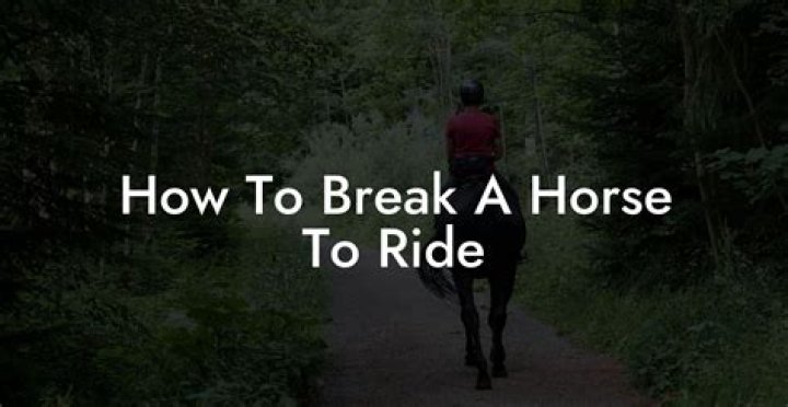 How do you break a horse?