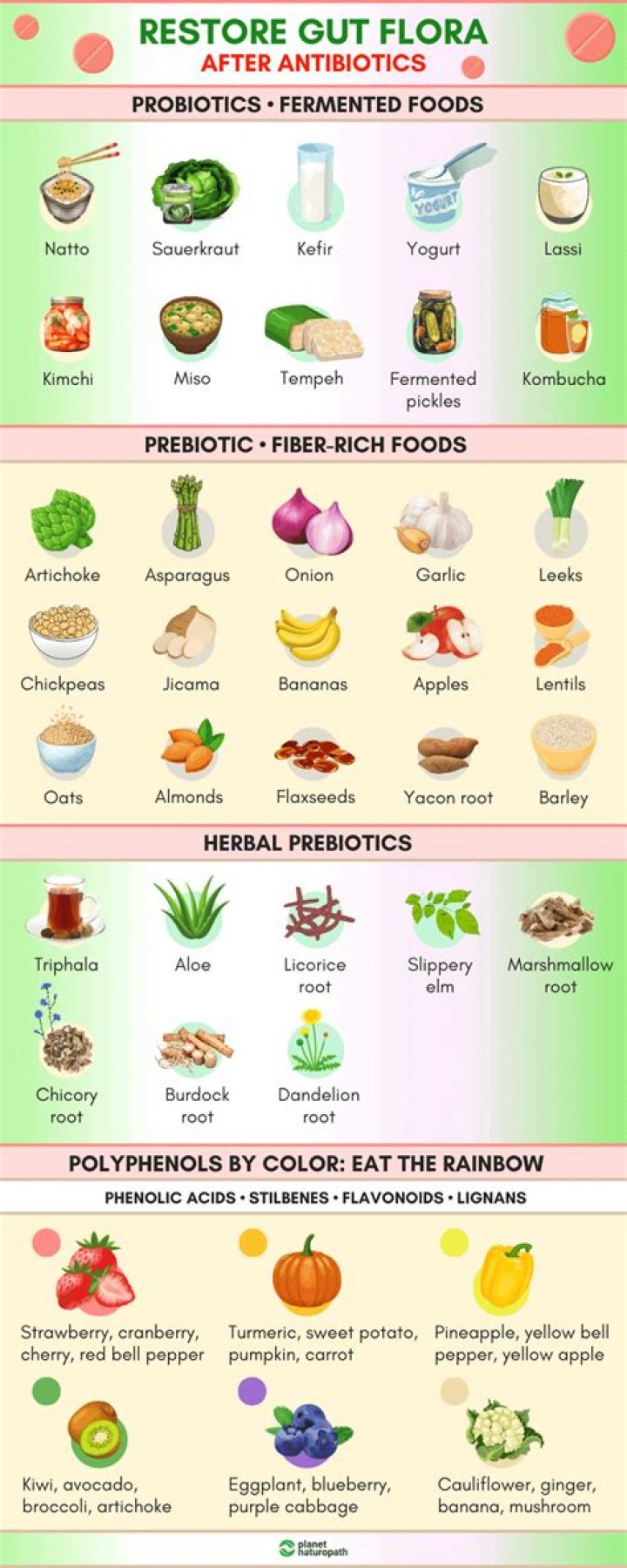 How do you rebuild gut flora?