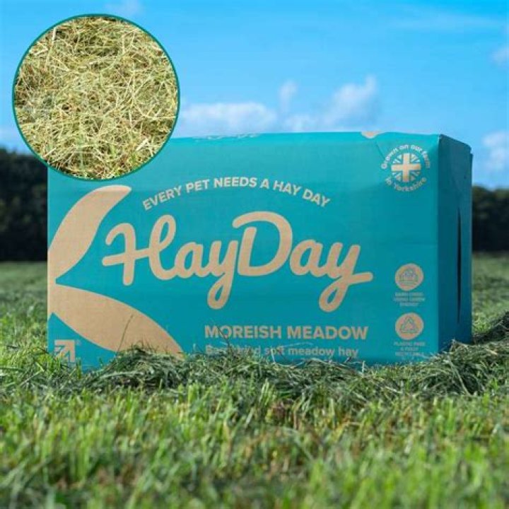 What is this hay?